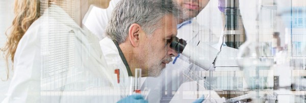 DRUG DISCOVERY & DRUG DESIGN PROGRAM